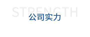 公司實(shí)力 公司實(shí)力